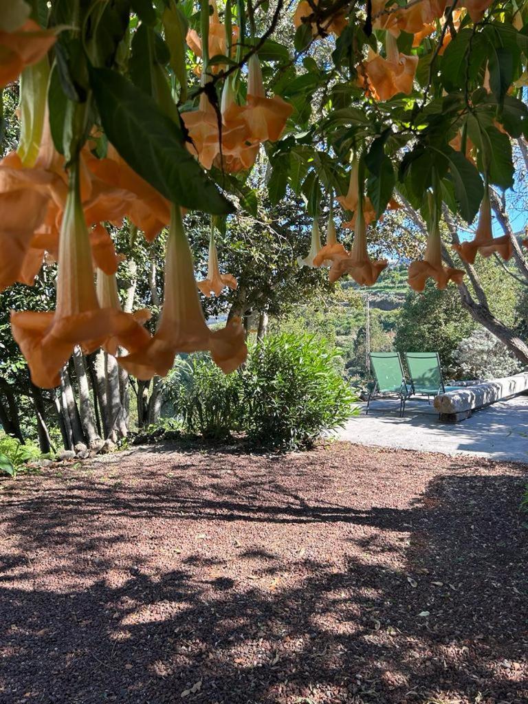 CerrogordoLa Casita Del Lagar别墅 外观 照片
